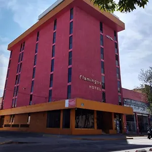 Flamingos Hotel Guadalajara